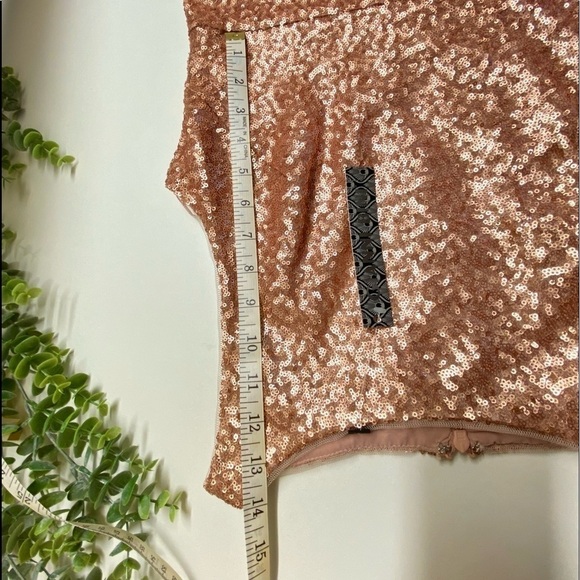 NWT Gianni Bini Juliet Dress Rose Sequin Feminine Fairytale Size 4 - Picture 14 of 17